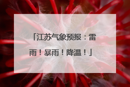 江苏气象预报：雷雨！暴雨！降温！