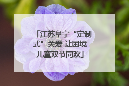 江苏阜宁“定制式”关爱 让困境儿童双节同欢