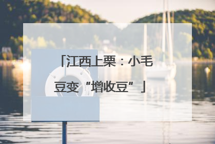 江西上栗：小毛豆变“增收豆”
