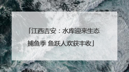 江西吉安：水库迎来生态捕鱼季 鱼跃人欢获丰收