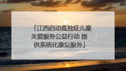 江西启动孤独症儿童关爱服务公益行动 提供系统化康复服务