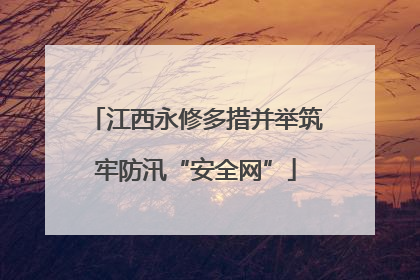 江西永修多措并举筑牢防汛“安全网”