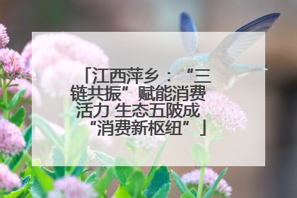 江西萍乡：“三链共振”赋能消费活力 生态五陂成“消费新枢纽”