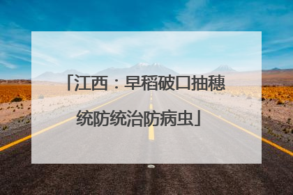 江西：早稻破口抽穗 统防统治防病虫