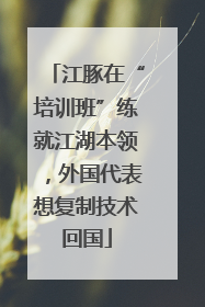江豚在“培训班”练就江湖本领，外国代表想复制技术回国