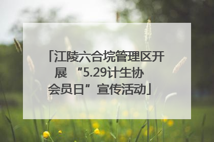 江陵六合垸管理区开展 “5.29计生协会员日”宣传活动
