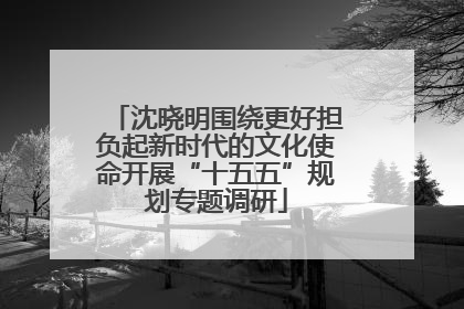 沈晓明围绕更好担负起新时代的文化使命开展“十五五”规划专题调研