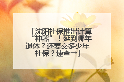 沈阳社保推出计算“神器”！延到哪年退休？还要交多少年社保？速查→