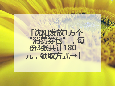 沈阳发放1万个“消费券包”，每份3张共计180元，领取方式→