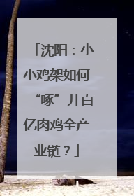 沈阳：小小鸡架如何“啄”开百亿肉鸡全产业链？