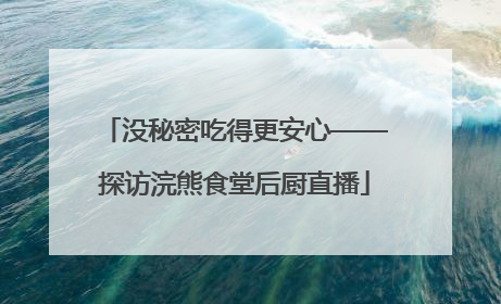 没秘密吃得更安心——探访浣熊食堂后厨直播