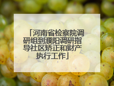 河南省检察院调研组到濮阳调研指导社区矫正和财产执行工作