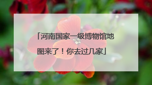 河南国家一级博物馆地图来了！你去过几家