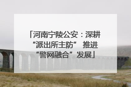 河南宁陵公安：深耕“派出所主防” 推进“警网融合”发展