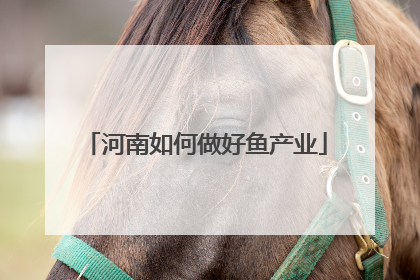 河南如何做好鱼产业