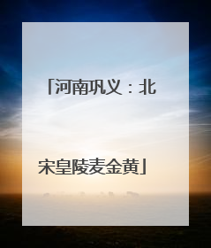 河南巩义:北宋皇陵麦金黄