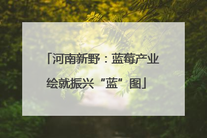 河南新野：蓝莓产业绘就振兴“蓝”图