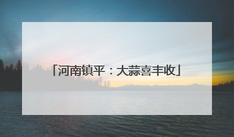 河南镇平：大蒜喜丰收