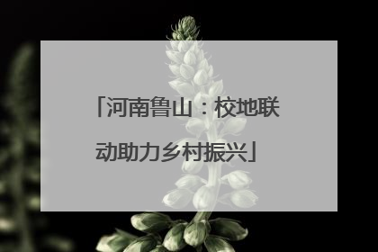 河南鲁山：校地联动助力乡村振兴