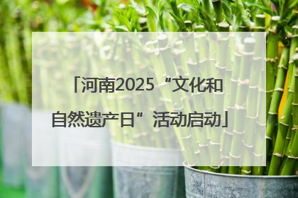 河南2025“文化和自然遗产日”活动启动