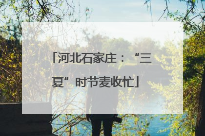 河北石家庄：“三夏”时节麦收忙