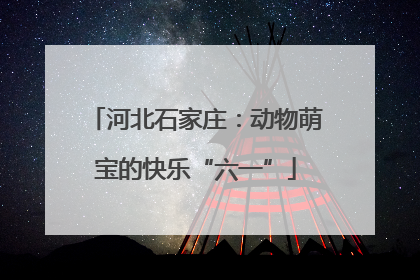 河北石家庄：动物萌宝的快乐“六一”