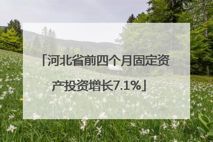 河北省前四个月固定资产投资增长7.1%