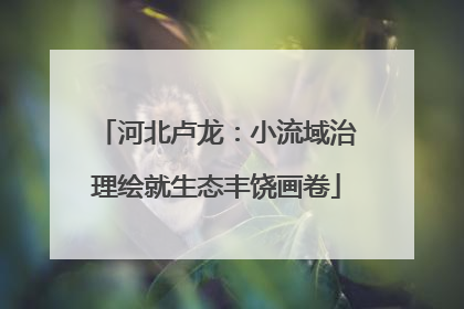 河北卢龙：小流域治理绘就生态丰饶画卷