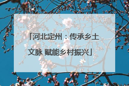 河北定州：传承乡土文脉 赋能乡村振兴