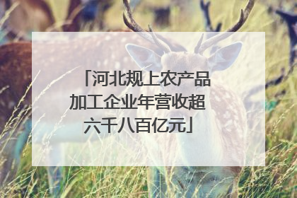 河北规上农产品加工企业年营收超六千八百亿元