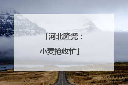 河北隆尧：小麦抢收忙