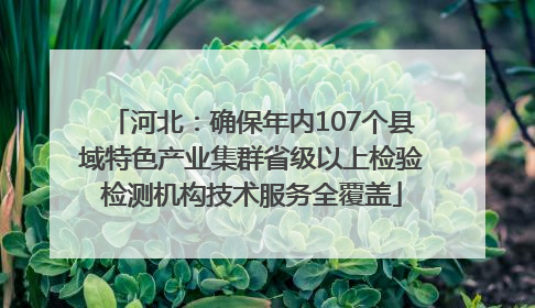 河北：确保年内107个县域特色产业集群省级以上检验检测机构技术服务全覆盖