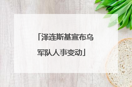 泽连斯基宣布乌军队人事变动