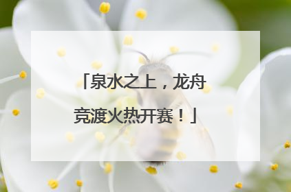 泉水之上，龙舟竞渡火热开赛！
