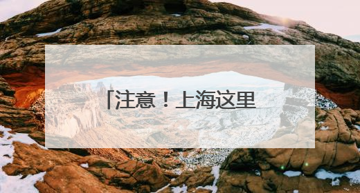 注意！上海这里“嘤嘤怪”出没！你见过没？！
