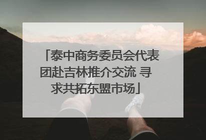 泰中商务委员会代表团赴吉林推介交流 寻求共拓东盟市场