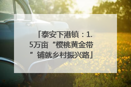 泰安下港镇：1.5万亩“樱桃黄金带”铺就乡村振兴路