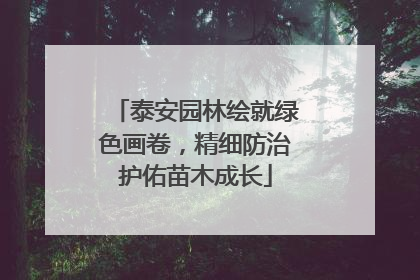 泰安园林绘就绿色画卷，精细防治护佑苗木成长