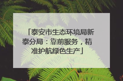 泰安市生态环境局新泰分局：靠前服务，精准护航绿色生产