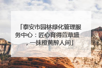 泰安市园林绿化管理服务中心：匠心育得萱草盛，一抹橙黄醉人间