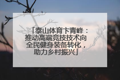 泰山体育卞青峰：推动高端竞技技术向全民健身装备转化，助力乡村振兴