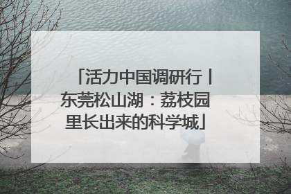 活力中国调研行丨东莞松山湖：荔枝园里长出来的科学城