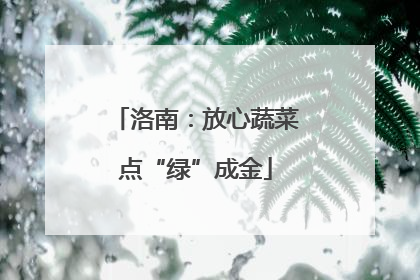 洛南：放心蔬菜点“绿”成金