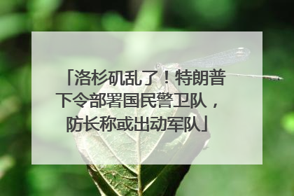 洛杉矶乱了！特朗普下令部署国民警卫队，防长称或出动军队