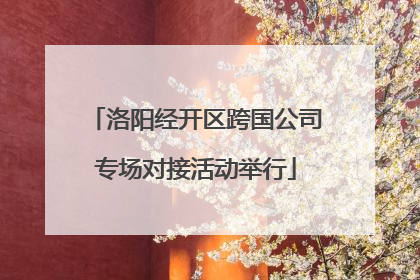 洛阳经开区跨国公司专场对接活动举行