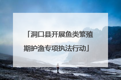 洞口县开展鱼类繁殖期护渔专项执法行动