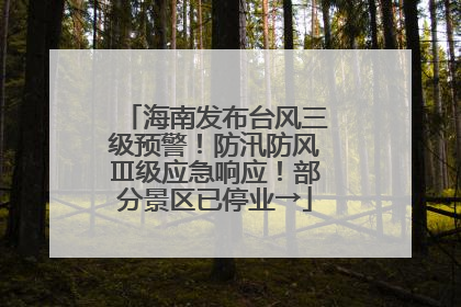 海南发布台风三级预警！防汛防风Ⅲ级应急响应！部分景区已停业→