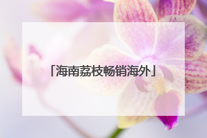 海南荔枝畅销海外