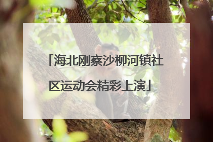 海北刚察沙柳河镇社区运动会精彩上演