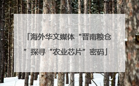 海外华文媒体“晋南粮仓”探寻“农业芯片”密码
